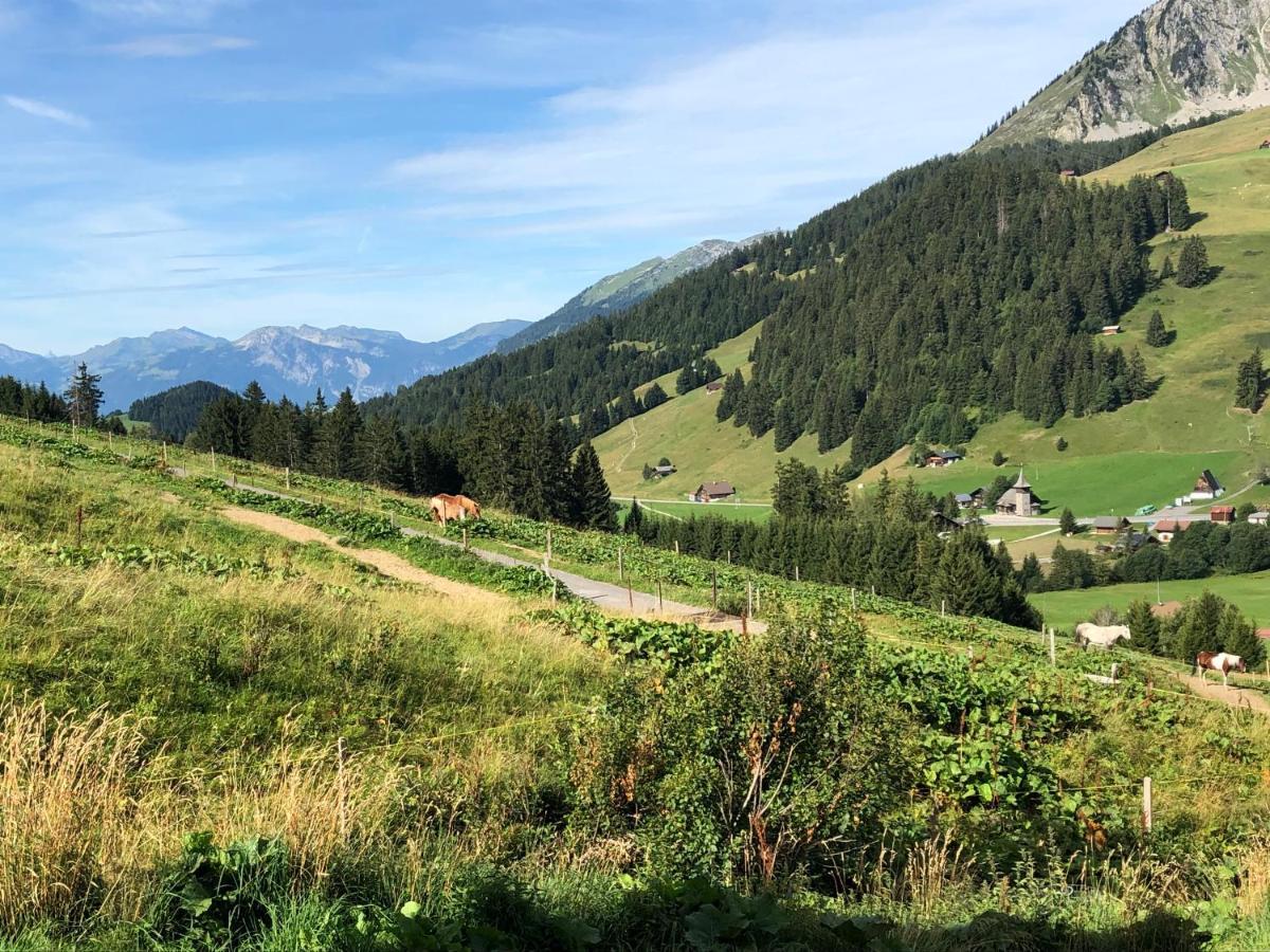 Alpine Dream Chalet With Spa Close To Lake Geneva Les Mosses Екстер'єр фото