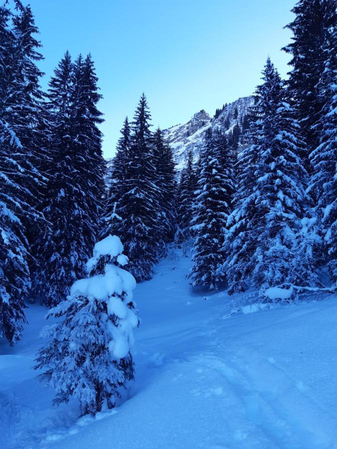 Alpine Dream Chalet With Spa Close To Lake Geneva Les Mosses Екстер'єр фото